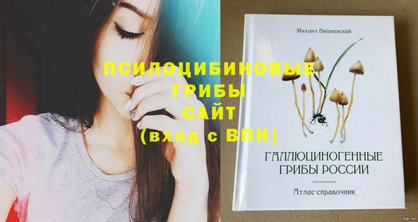 кристаллы Елабуга