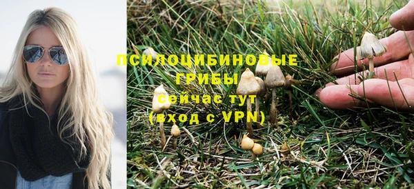 прущие крисы Дмитров